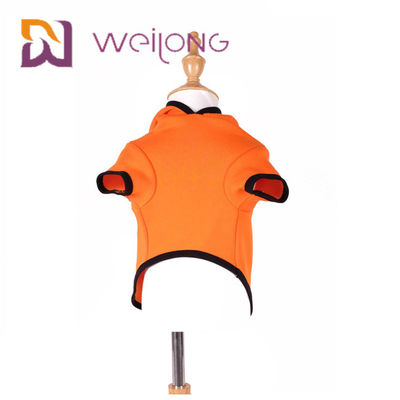Mùa thu Thêu Mặt Halloween Bí ngô Con chó Hoodie Mèo Quần áo Chó